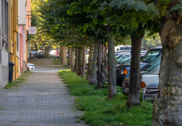 Podzimní past, která ničí auta za desítky tisíc, je zpět Podzimní past, která ničí auta za desítky tisíc, je zpět