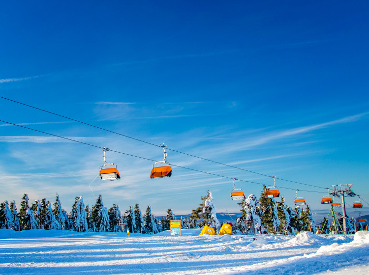 V provozu je u nás aktuálně 34 lyžařských areálů a běží 62 lanovek a vleků. V provozu je u nás aktuálně 34 lyžařských areálů a běží 62 lanovek a vleků.