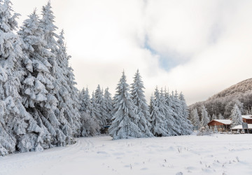 Podle nejnovějších předpovědí máme v lednu reálnou šanci zažít pohádkovou zimu. Podle nejnovějších předpovědí máme v lednu reálnou šanci zažít pohádkovou zimu.