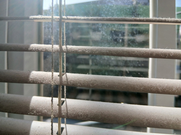 Mytí žaluzií může být peklo Mytí žaluzií může být peklo