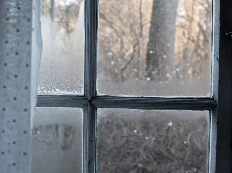 Vlhkost vysrážená na oknech by se dala označit za symbol letošní zimy