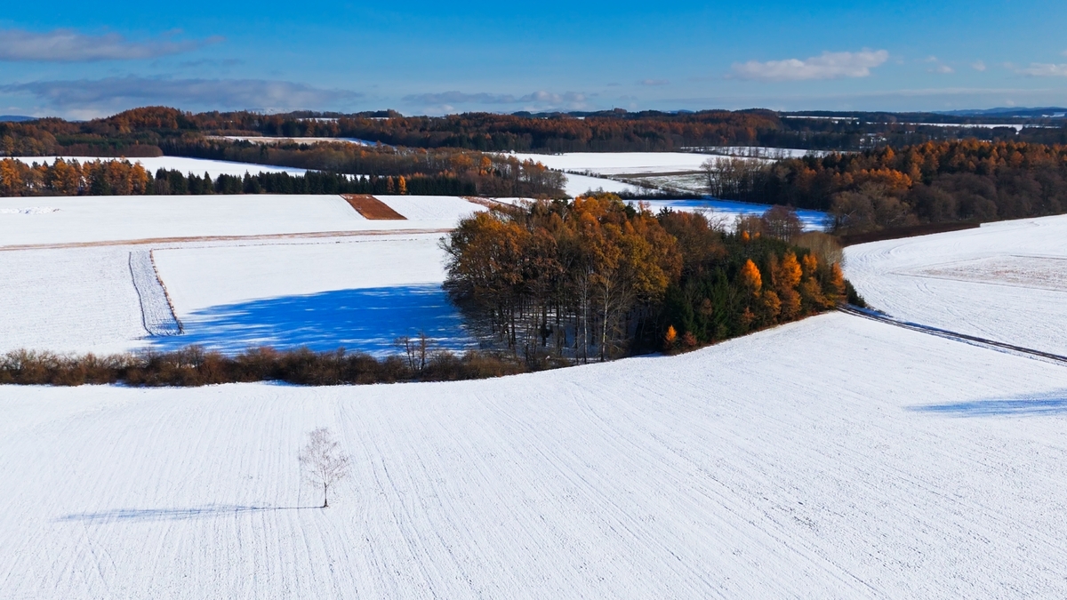 Lidová moudrost praví jasně – únor bílý, pole sílí.