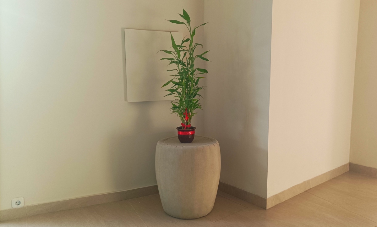 Čím dle feng-šuej podpořit hojnost?