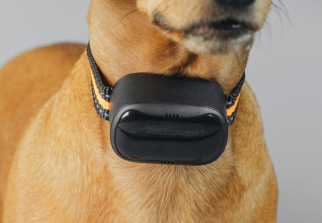 Toto chytré zařízení dokáže najít zatoulaného psa