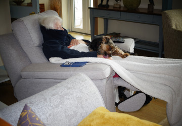 Tato psí plemena se nejvíce hodí ke starým lidem Tato psí plemena se nejvíce hodí ke starým lidem