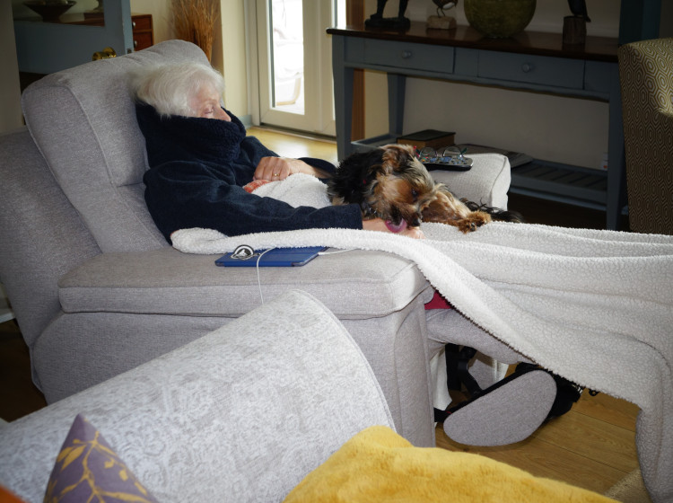 Tato psí plemena se nejvíce hodí ke starým lidem Tato psí plemena se nejvíce hodí ke starým lidem