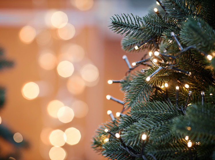 Lidl vám pomůže nastolit tu správnou sváteční atmosféru.