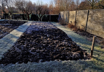 Jedna chyba vám zničí půdu ještě dřív, než začnete sázet Jedna chyba vám zničí půdu ještě dřív, než začnete sázet