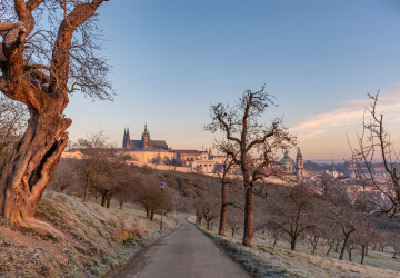 Do Česka by se mohlo vrátit mrazivé počasí