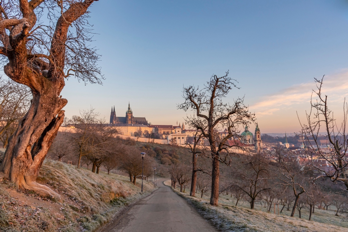 Do Česka by se mohlo vrátit mrazivé počasí