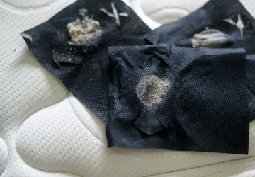 Technologie, která účinně odstraní prach z matrací