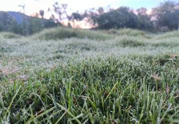 Na tento týden meteorologové předpovídají výskyt ranních mrazíků.