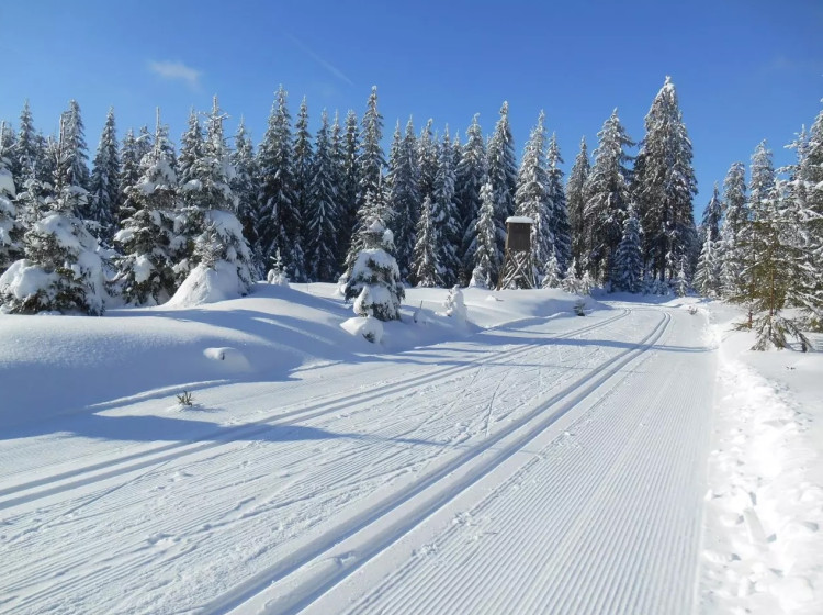 Kdy by mělo poprvé sněžit? Kdy by mělo poprvé sněžit?