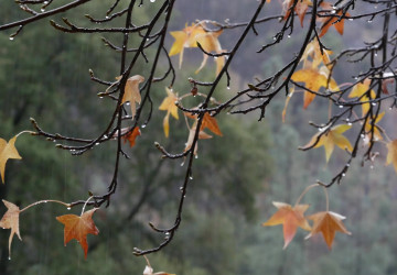 Typické listopadové počasí ze začátku měsíce nepřijde. Typické listopadové počasí ze začátku měsíce nepřijde.