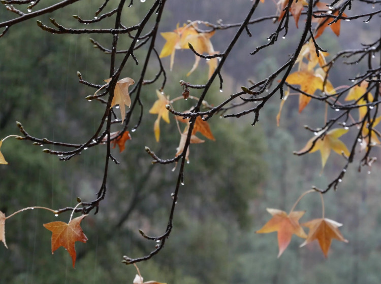 Typické listopadové počasí ze začátku měsíce nepřijde. Typické listopadové počasí ze začátku měsíce nepřijde.