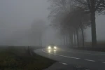 Začátek listopadu přinese typicky podzimní rána