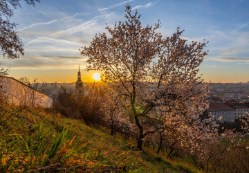 Na Petřín se letos vydáme v teplém oblečení. 