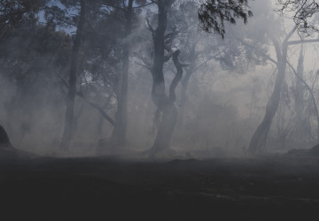 Na Jindřichohradecku se rozvinul ničivý požár. 