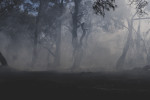 Na Jindřichohradecku se rozvinul ničivý požár. 