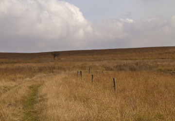 Po extrémně teplém a suchém létě vyhlížejí meteorologové i zahrádkáři zářijový zlom v počasí.