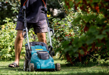 V českých zahradách se objevuje nový trend