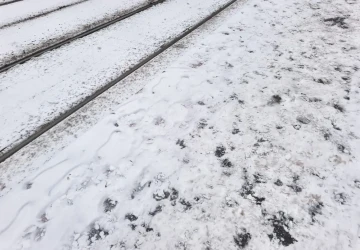 Během října se v ČR výrazně ochladí. 