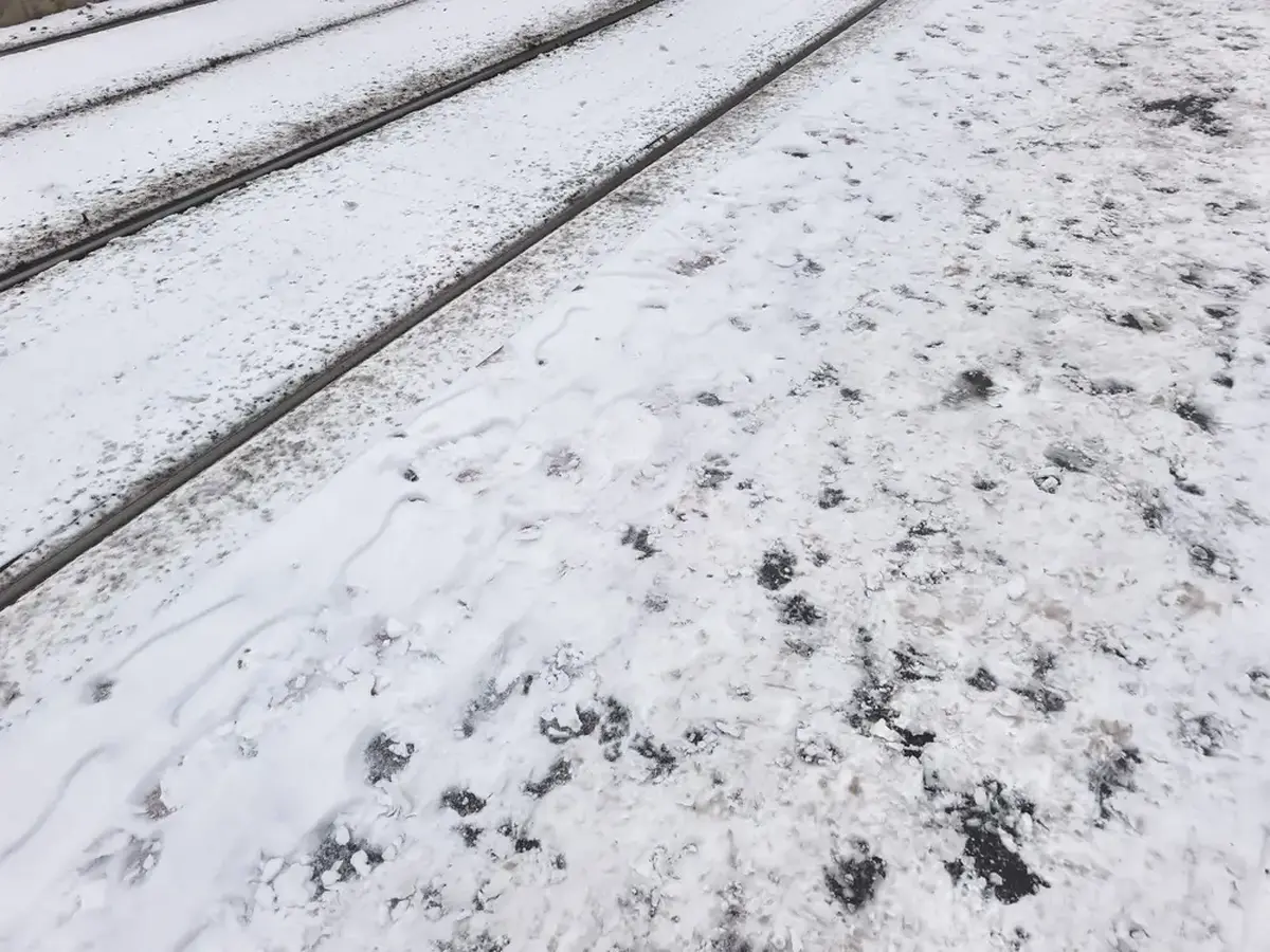 Během října se v ČR výrazně ochladí. 