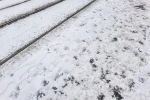 Během října se v ČR výrazně ochladí. 