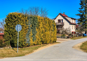 Na vlastním pozemku je nutné provést kontrolu, jinak hrozí pokuta Na vlastním pozemku je nutné provést kontrolu, jinak hrozí pokuta