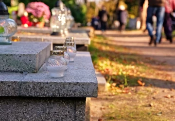 Připravte se na Dušičky s ideální dekorativní rostlinou, která má ráda chlad i vlhkost.