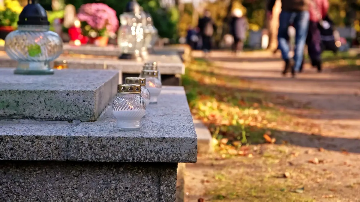 Připravte se na Dušičky s ideální dekorativní rostlinou, která má ráda chlad i vlhkost.
