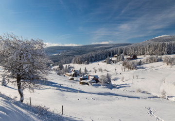 Leden by měl být tentokrát plný sněhu. 